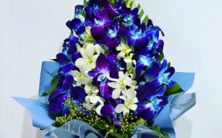 Occasions Made Special with Same Day Flower Delivery St Kilda