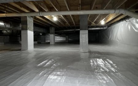 Keep Your Crawl Space Dry and Safe with Professional Repairs