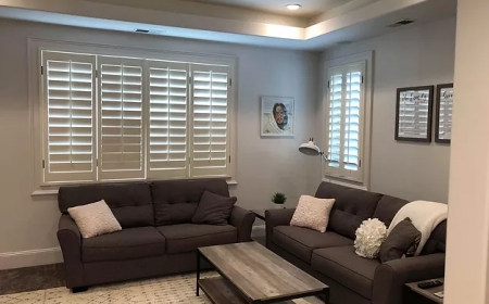 Professional Kitchen Cabinet Painting for Stunning Results