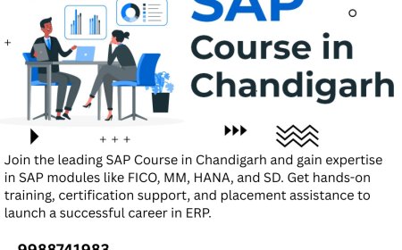 SAP Training in Chandigarh | Your Gateway to a Global Career