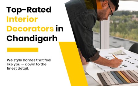 Top Interior Decorators in Chandigarh | Transform Your Space with Style