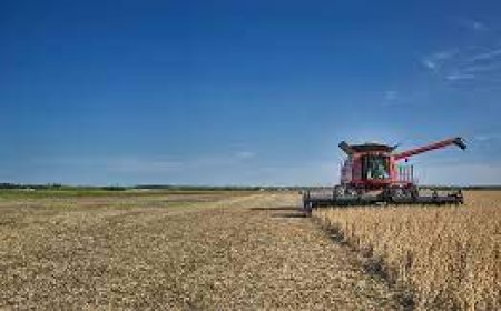 Red Diesel Delivery: Essential Fuel Service for Agriculture and Off-Road Operations