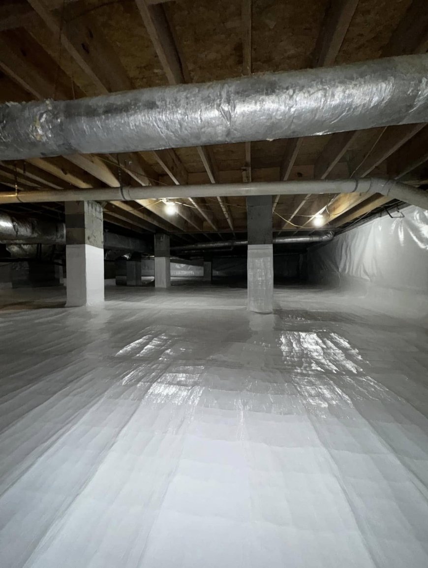 Keep Your Crawl Space Dry and Safe with Professional Repairs