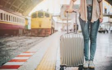 Indian Visa for Swiss Citizens: Your Complete Guide