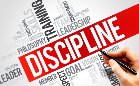 How a Discipline Management System Transforms School Culture in 2025?