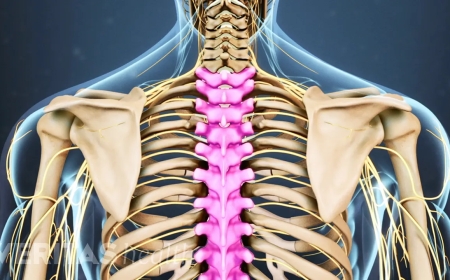 Common Spine Problems Treated by the Best Spine Surgeon in Jaipur