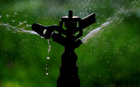 How Clay Soil Affects Your Sprinkler Zones