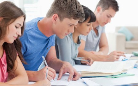 Academic Support for International Students: Essay Writing Help