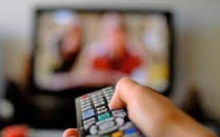 Unlocking Success in IPTV: A Complete Guide for Resellers and Server Operators