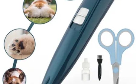 Pet Hair Trimmer Tips Every Cat Owner Should Know Before Grooming