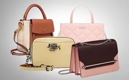 Pietro Purses History: Brand Evolution Explored