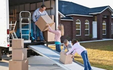 How to Compare Movers Mississauga for Small Moves