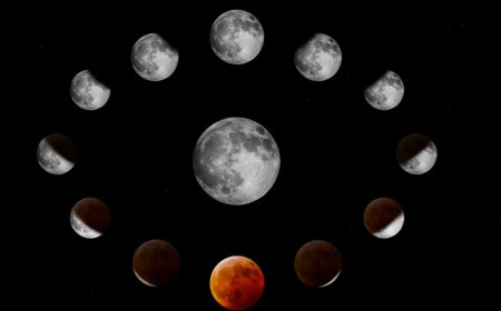 When the Moon Met Your Moment: A Unique Lunar Keepsake