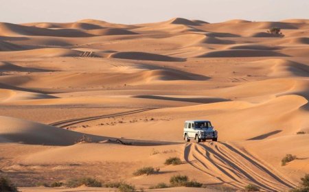 Desert Safari Dubai: Experience the Thrill of the Arabian Dunes