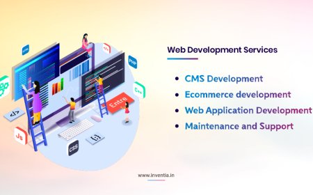 What to Expect When Hiring a Web Design Company