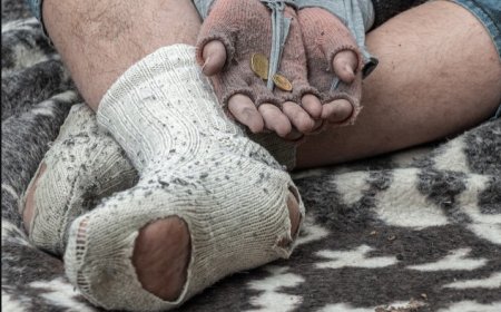 Най-добрите адвокати Пловдив – Вашият път към успеха