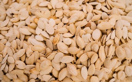 Buy Premium Pumpkin Seeds Online – Fast Delivery