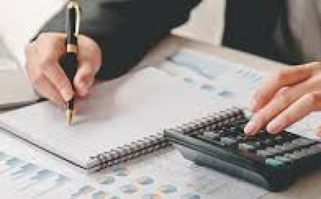 Can I see other companies’ annual confirmation statements?