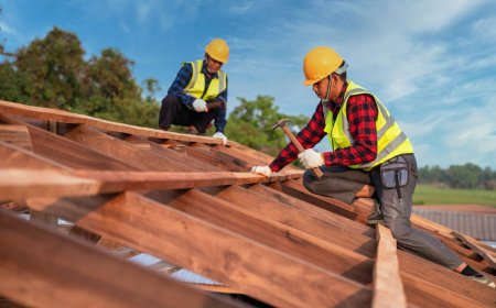 Sustainable & Eco-Friendly Roofing Solutions for Perth Homes: Smarter, Greener, and Cost-Effective in 2025