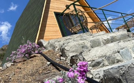 Reconnect with Nature in Our Serene Mountain Cabins