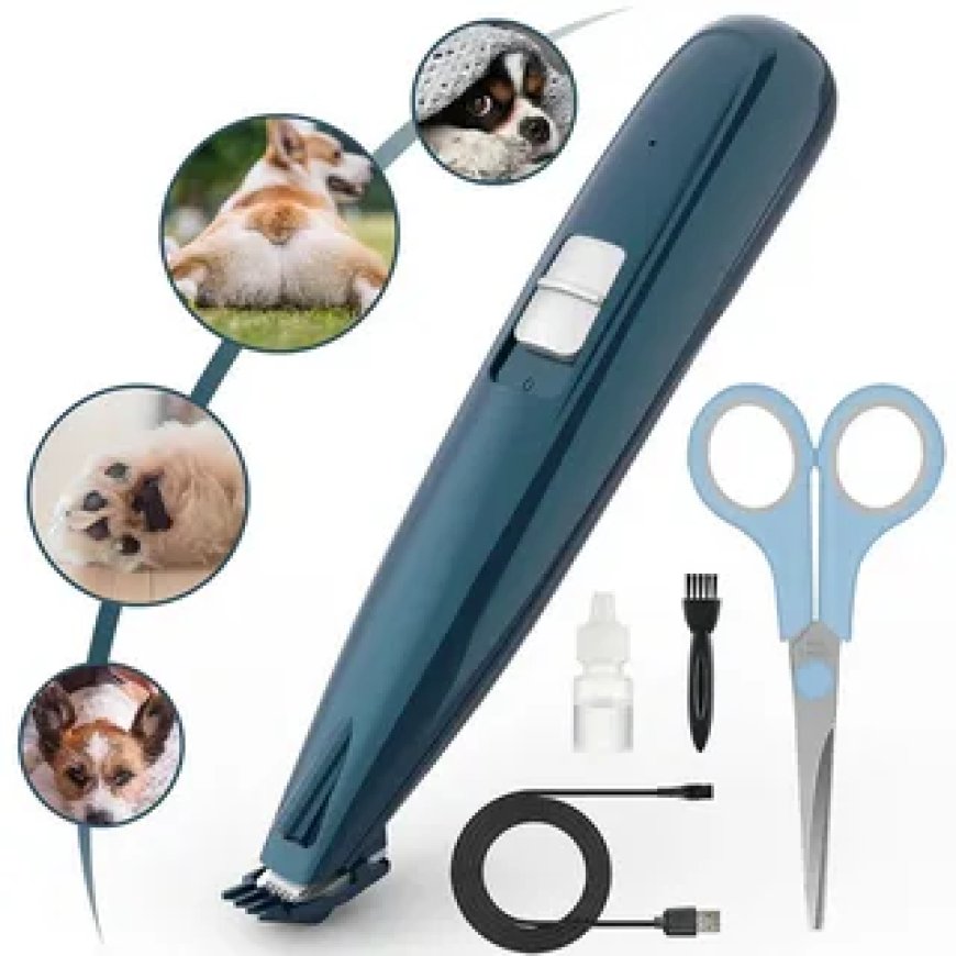 Pet Hair Trimmer Tips Every Cat Owner Should Know Before Grooming