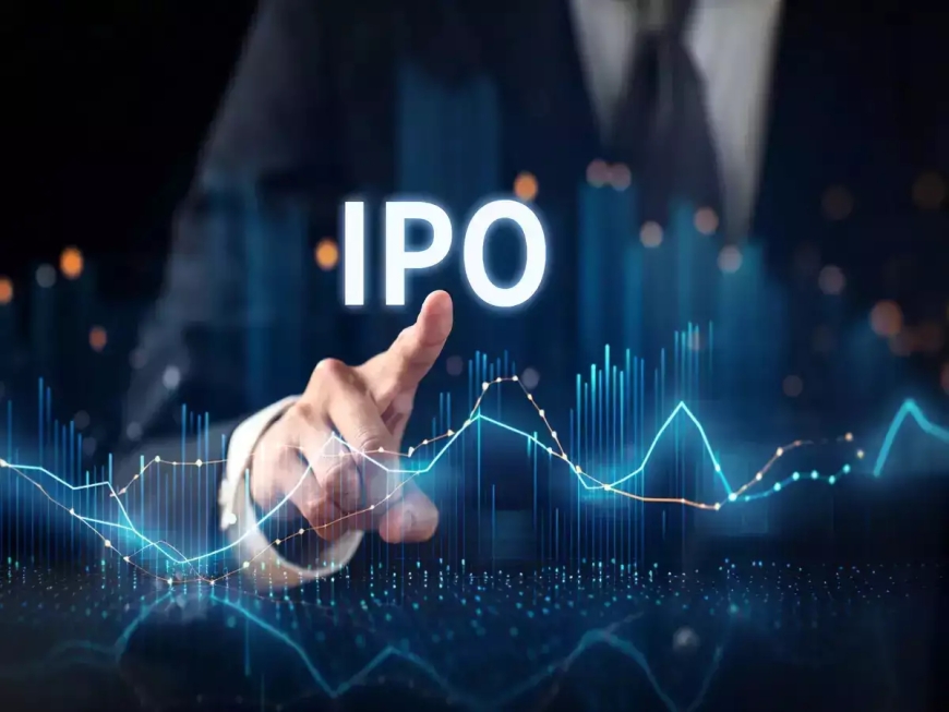 What Does an SME IPO Consultant Do? A Beginner’s Guide