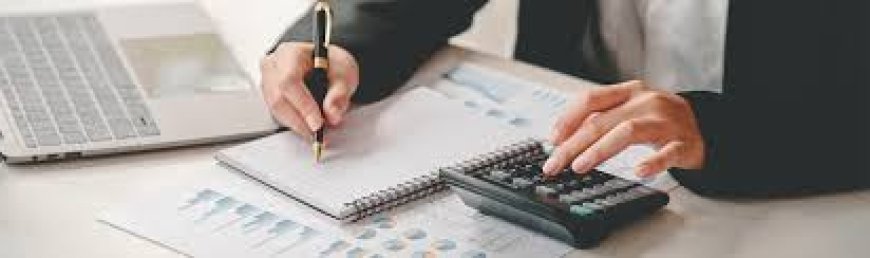 Can I see other companies’ annual confirmation statements?